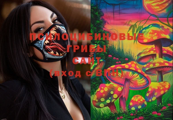 эйфоретик Армянск