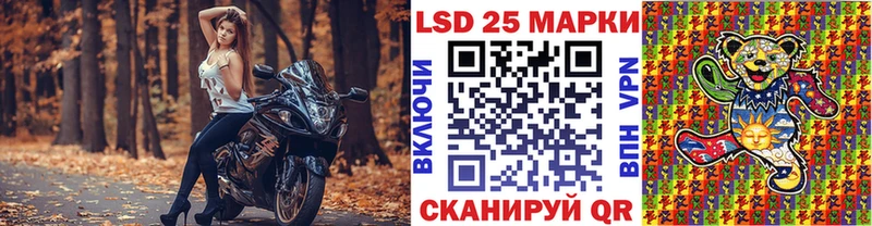 Купить закладки  Дорогобуж  Марки N-bome 1,5мг 